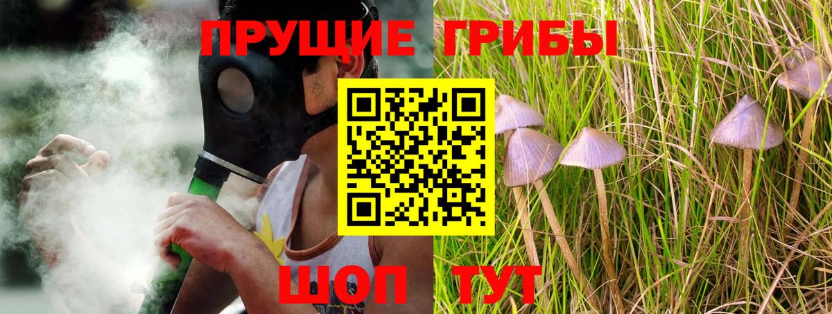 Галлюциногенные грибы Magic Shrooms Мыски