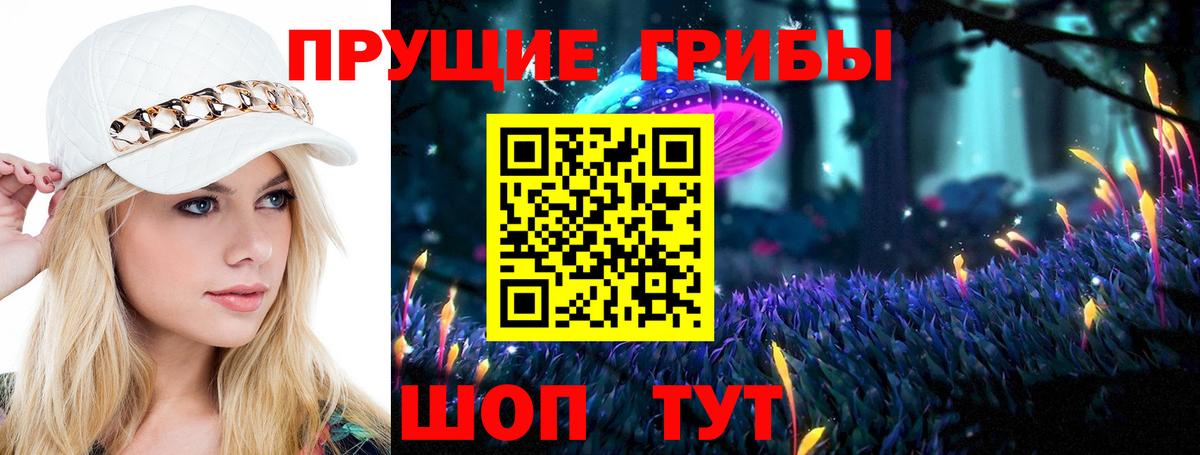 купить закладку  Вход с VPN  Мыски  Псилоцибиновые грибы Magic Shrooms 